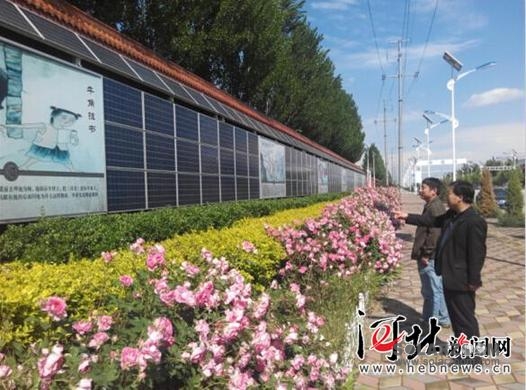 保定徐水县打造巨力新能源太阳能光伏文化墙（图）